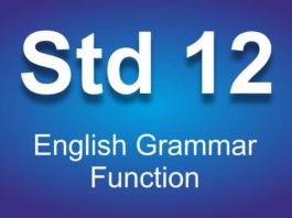 English Grammar Function