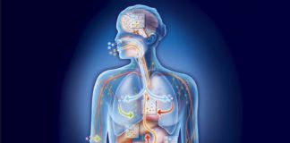 Amazing facts about human body in hindi