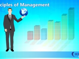 principles of management