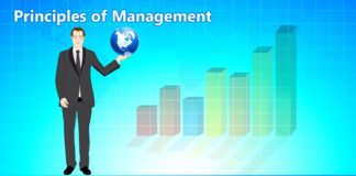 principles of management