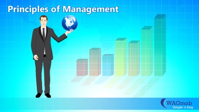 principles of management